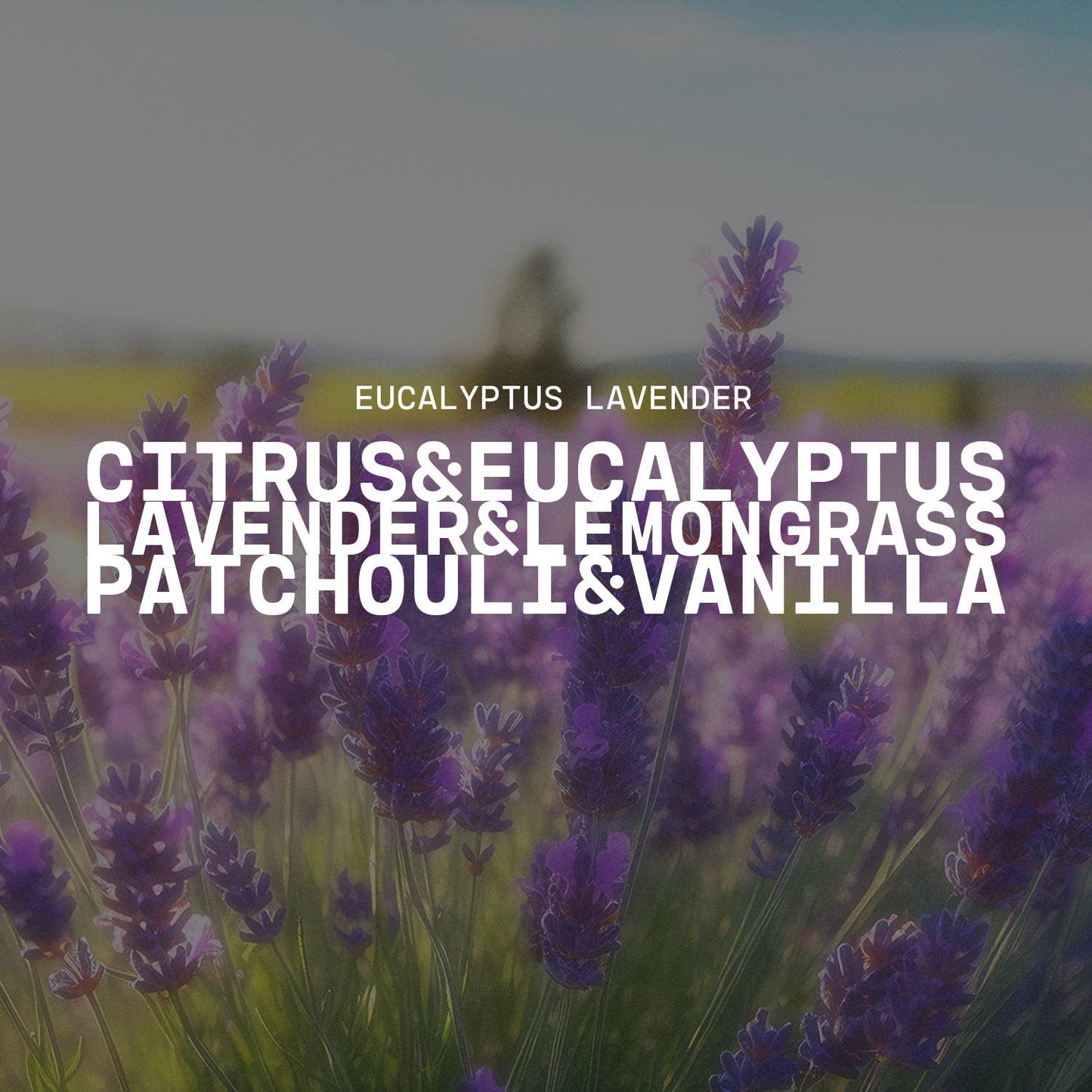 3.75 oz Traveler Tin Candle: Eucalyptus Lavender