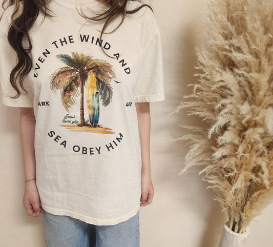 Even the wind and sea obey him